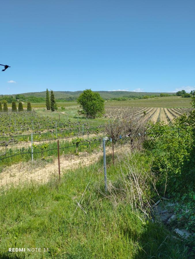 Chambre D Hotes En Provence, Au Pied Du Luberon, Les Coquelicots La Tour-dʼAigues Exteriér fotografie